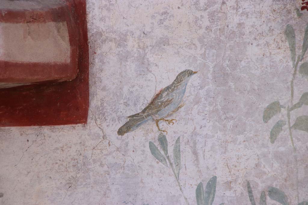 I.6.2 Pompeii. September 2019. Detail of painted bird. Photo courtesy of Klaus Heese.