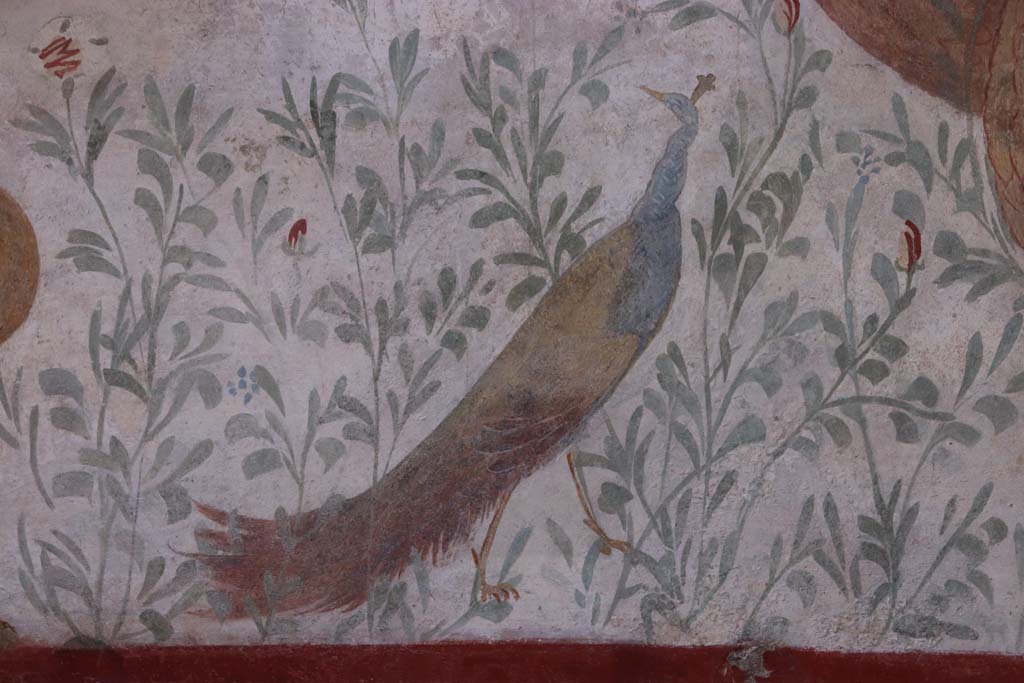 I.6.2 Pompeii. September 2019. Detail of painted peacock. Photo courtesy of Klaus Heese.

