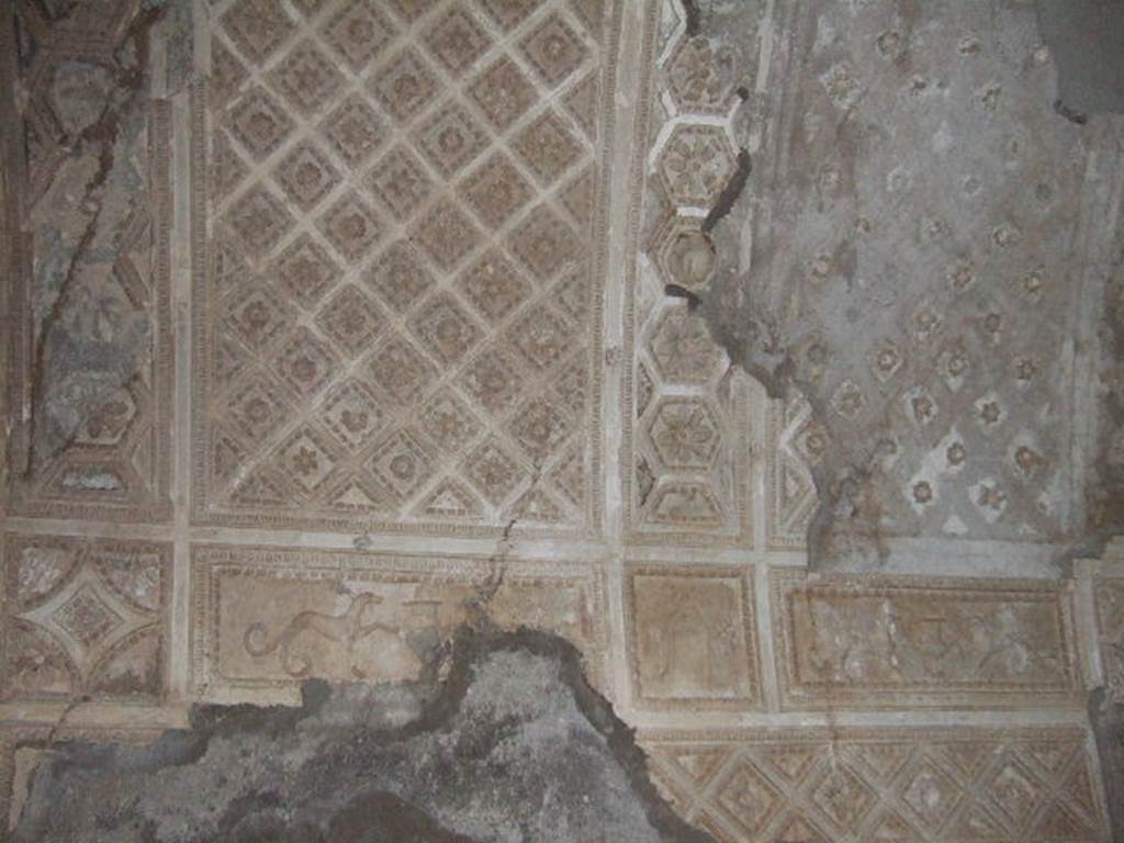 I.6.2 Pompeii. May 2006. Stuccoed vaulted ceiling in cryptoporticus.