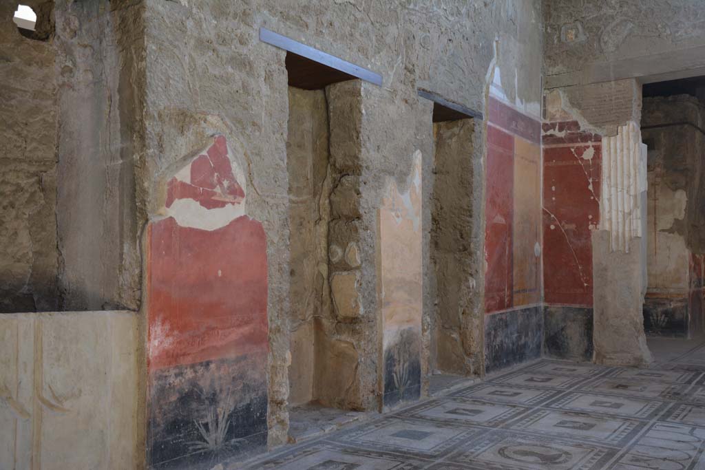 I.7.1 Pompeii. October 2019. Looking south along east wall in atrium.
On this wall can be seen painted plants on black base (zoccolo) of wall and the cast of a door.
In the panels can be seen painted vignettes of a glass vase/dish of fruit, a shield and vase, a cuttlefish and a bird with cherries.
Foto Annette Haug, ERC Grant 681269 DÉCOR.

