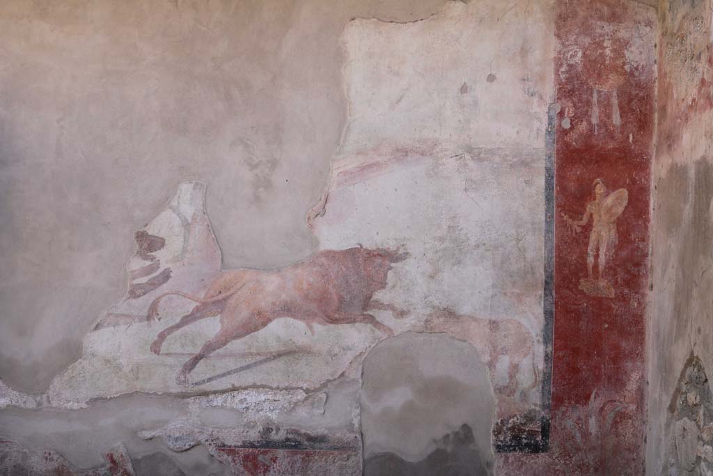 I.7.12 Pompeii. December 2018. 
Decorated south wall and south-west corner with painting of bull in hunting scene, and naked armed warrior. Photo courtesy of Aude Durand.



