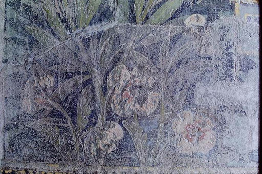 I.9.5 Pompeii. 1968. Room 5, detail of painted flowers. Photo by Stanley A. Jashemski.
Source: The Wilhelmina and Stanley A. Jashemski archive in the University of Maryland Library, Special Collections (See collection page) and made available under the Creative Commons Attribution-Non Commercial License v.4. See Licence and use details.
J68f0190
