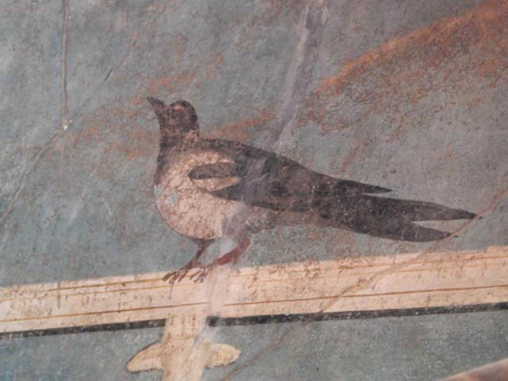 I.9.5 Pompeii, May 2018. Room 5, detail of bird from upper south wall. Photo courtesy of Buzz Ferebee.