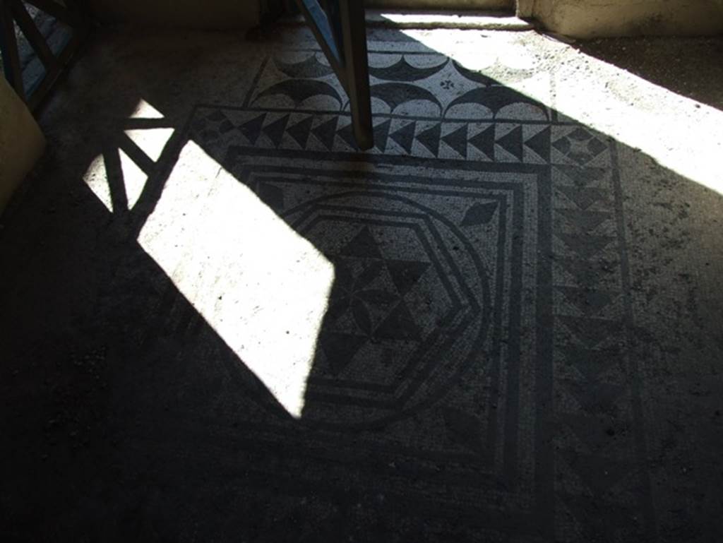 I.9.5 Pompeii. March 2009. Room 5.  Cubiculum.  Mosaic floor.