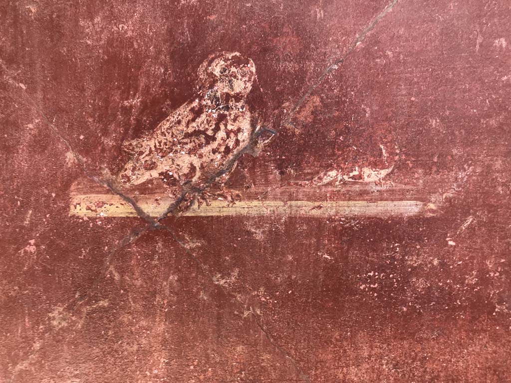 I.10.4 Pompeii. April 2019. Painting of bird from east side (left) of doorway to room 21 on south portico,
Photo courtesy of Rick Bauer.
