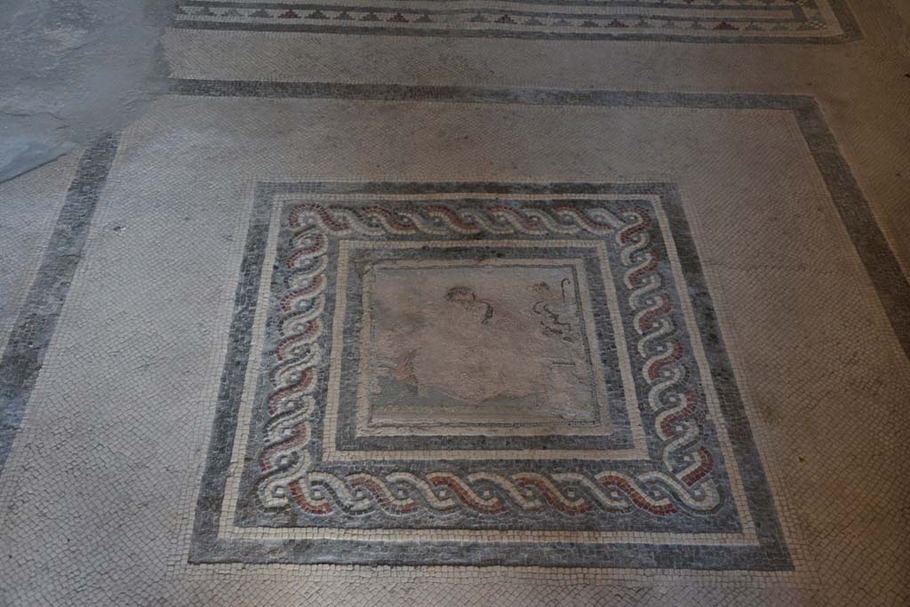 I.10.4 Pompeii. September 2019. Room 21, mosaic emblema of satyr and maenad, in centre of mosaic floor.
Foto Annette Haug, ERC Grant 681269 DCOR.

