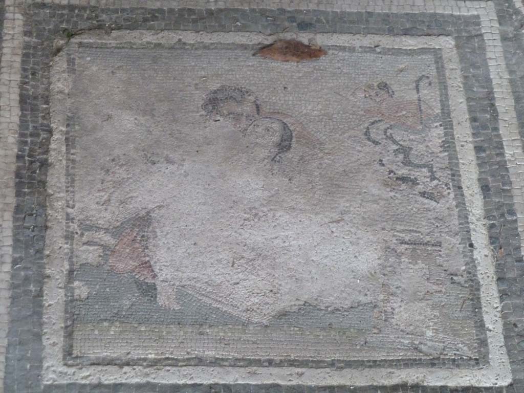 I.10.4 Pompeii. May 2010. Room 21, detail from mosaic of satyr and maenad.