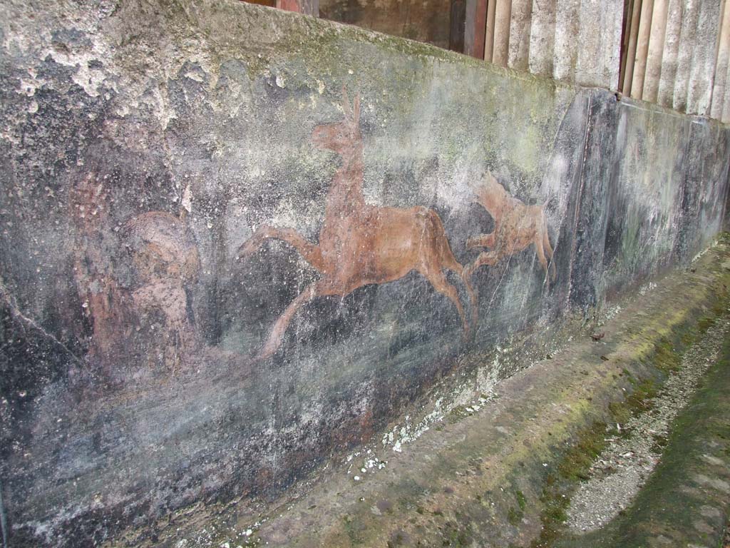 I.10.4 Pompeii. December 2006. Peristyle garden, hunt painting on inside of painted pluteus of peristyle.