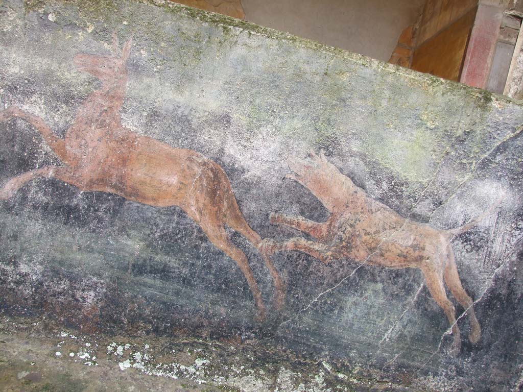 I.10.4 Pompeii. December 2006. 
Peristyle garden, hunt painting on inside of painted pluteus of peristyle. A dog is chasing a fawn.
