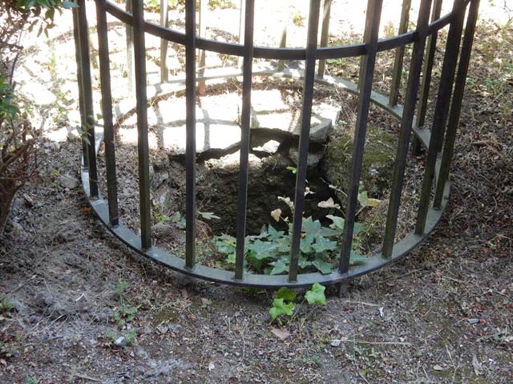 I.10.4 Pompeii. May 2017. Ventilation shaft, or well, for the Sarno canal below, from west side.  Photo courtesy of Buzz Ferebee.


