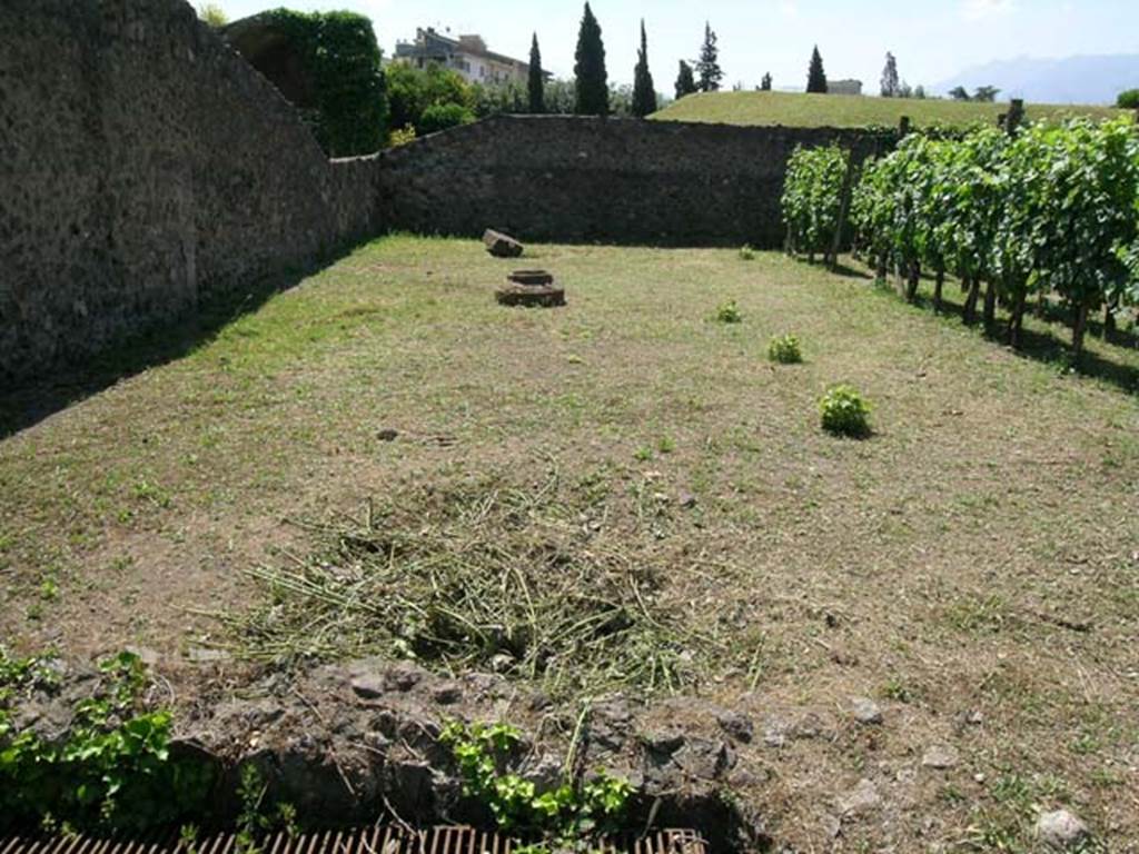 I.20.1 Pompeii. June 2005. Looking south across vineyard/garden area, with steps to underground wine store, now closed off. Photo courtesy of Nicolas Monteix.
