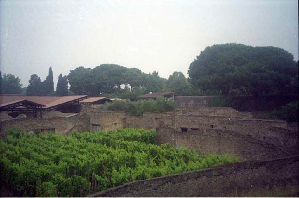 I.20.1 Pompeii. July 2011. Looking across the vineyard of the Inn of the Gladiators towards the east wall. Photo courtesy of Rick Bauer.