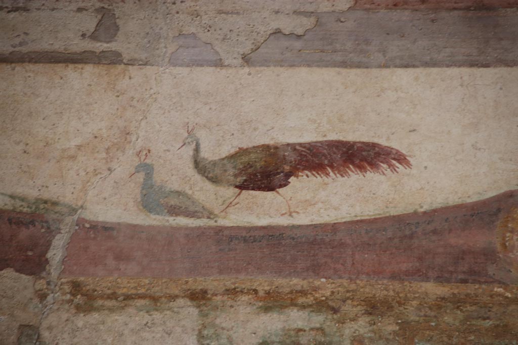 II.3.3 Pompeii. October 2022. Room 10, detail of painted peacocks from upper centre of south wall. Photo courtesy of Klaus Heese