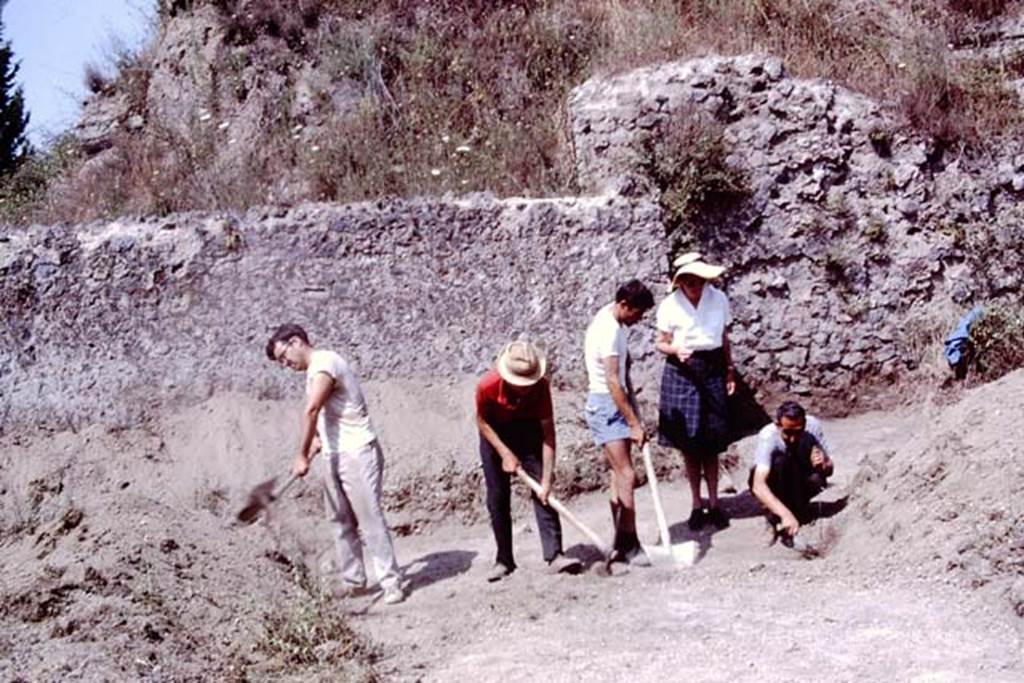 II.5 Pompeii. 1966. Carefully looking for the root cavities, Wilhelminas first complete row of small root cavities were found along this east wall. Photo by Stanley A. Jashemski.
Source: The Wilhelmina and Stanley A. Jashemski archive in the University of Maryland Library, Special Collections (See collection page) and made available under the Creative Commons Attribution-Non Commercial License v.4. See Licence and use details.
J66f0435
