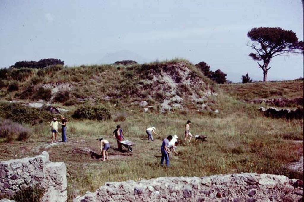 III.7 Pompeii. 1976. Clearing along the north side of area, looking north-east. Photo by Stanley A. Jashemski.   
Source: The Wilhelmina and Stanley A. Jashemski archive in the University of Maryland Library, Special Collections (See collection page) and made available under the Creative Commons Attribution-Non Commercial License v.4. See Licence and use details. J76f0312
