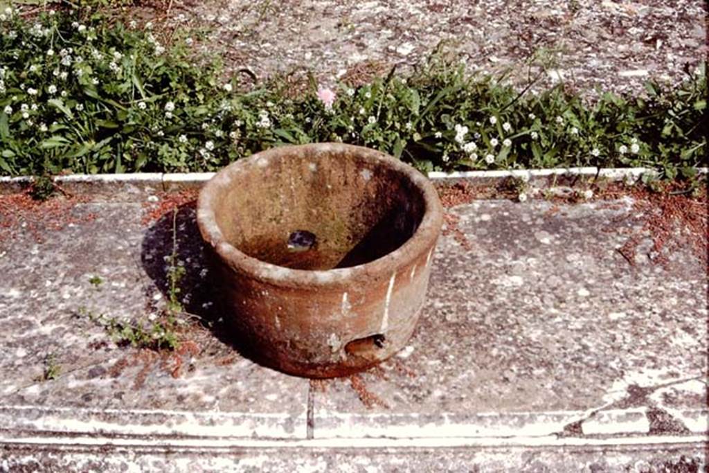 V.1.7 Pompeii. 1984. Terracotta pot, on south end of impluvium. Source: The Wilhelmina and Stanley A. Jashemski archive in the University of Maryland Library, Special Collections (See collection page) and made available under the Creative Commons Attribution-Non Commercial License v.4. See Licence and use details.
J84f0028 
