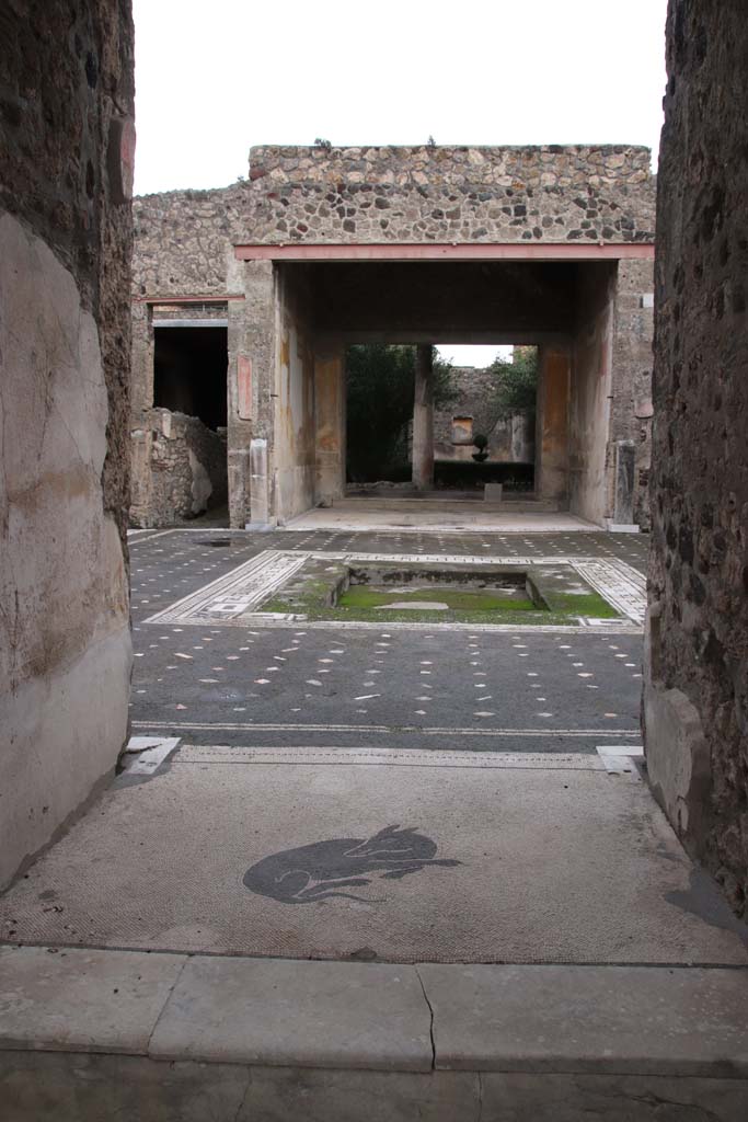 V.1.26 Pompeii. October 2020. 
Looking east across mosaic of dog in vestibule towards atrium. Photo courtesy of Klaus Heese.


