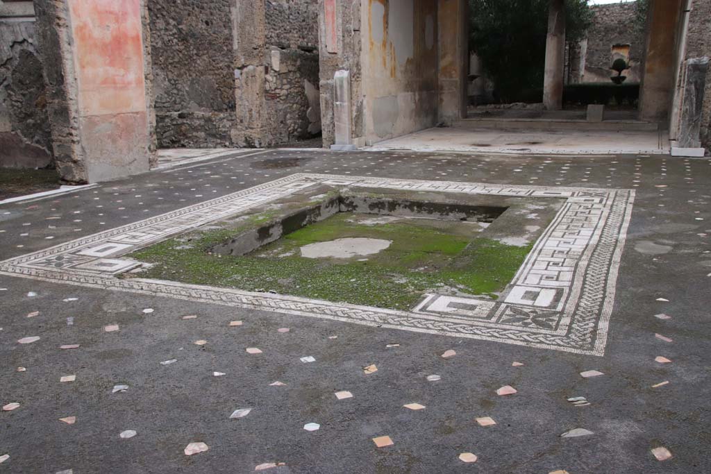 V.1.26 Pompeii. October 2020. 
Room b, looking north-east across impluvium with mosaic surround in atrium towards north side of tablinum i. Photo courtesy of Klaus Heese.

