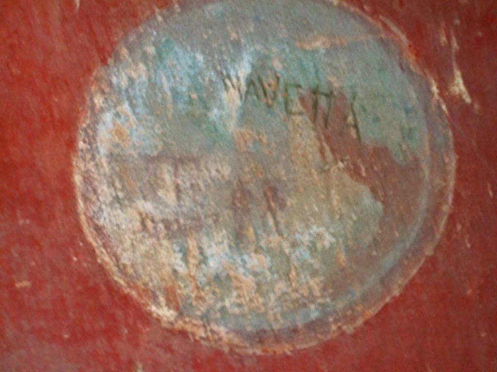 V.2.h Pompeii. December 2005. Tablinum ‘f’ east wall, round painted medallion of landscape scene.