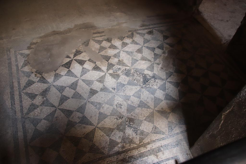V.4.a Pompeii. October 2023. Room ‘c’, mosaic floor in cubiculum on north side of entrance corridor. Photo courtesy of Klaus Heese.