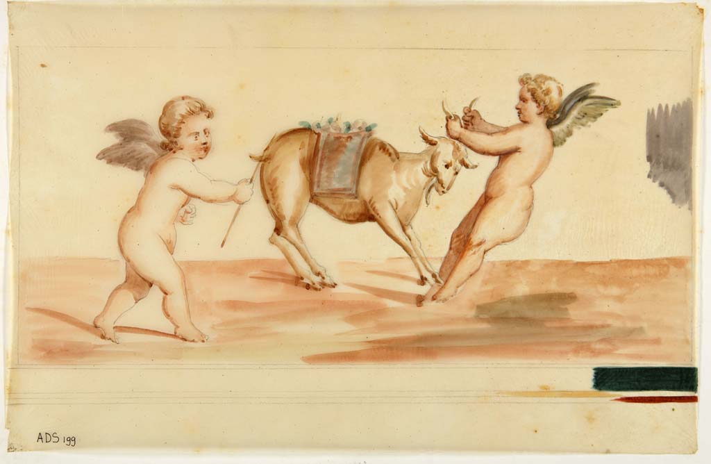 VI.7.18 Pompeii. Watercolour by Antonio Ala, showing two cupids with a goat, from east end of south wall (left side of central painting).
Now in Naples Archaeological Museum. Inventory number ADS 199.
Photo © ICCD. http://www.catalogo.beniculturali.it
Utilizzabili alle condizioni della licenza Attribuzione - Non commerciale - Condividi allo stesso modo 2.5 Italia (CC BY-NC-SA 2.5 IT)
