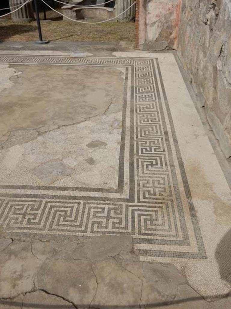 VI.8.22 Pompeii. May 2017. Looking west across north side of mosaic floor in tablinum. Photo courtesy of Buzz Ferebee.
