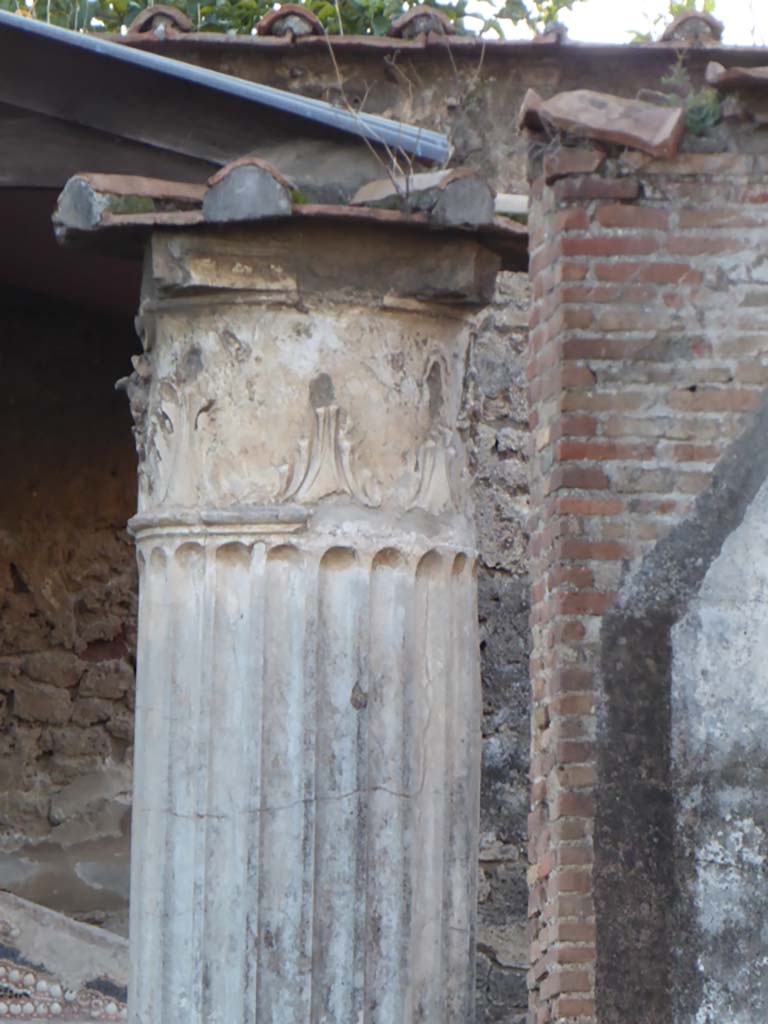 VI.8.22 Pompeii. January 2017. Detail of capital at top of column in portico.
Foto Annette Haug, ERC Grant 681269 DÉCOR.
