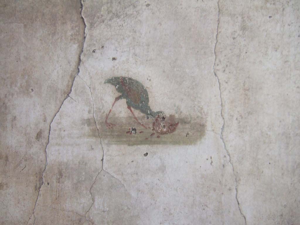 VI.8.23 Pompeii. September 2005. Painted bird from east wall of cubiculum, a partridge eating a fruit.
