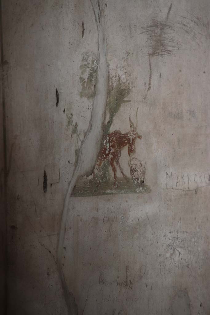 VI.8.23 Pompeii. September 2017. Detail of painted panel on east end of south wall.
Photo courtesy of Klaus Heese.
