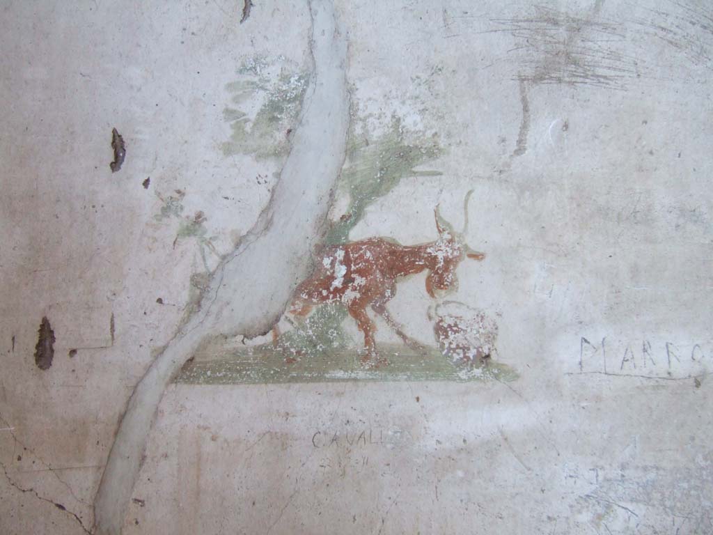 VI.8.23 Pompeii. September 2005. Painted animal on south wall of cubiculum.