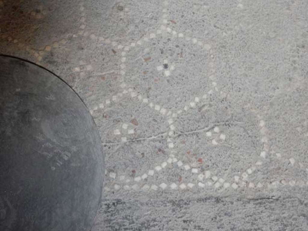 VI.8.23 Pompeii. May 2017. Flooring of room on north side of entrance corridor consisting of lavapesta with small fragments of brick. The small white tesserae form a carpet of hexagonals. In the centre of each hexagonals is a star or cross made from four white tesserae with a black one in the centre. Photo courtesy of Buzz Ferebee.
