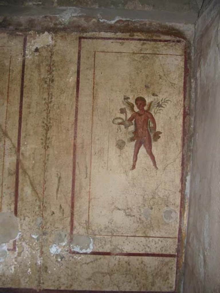 VI.10.1 Pompeii. May 2003. Flying cupid from north wall in north-east corner.  Photo courtesy of Nicolas Monteix.
