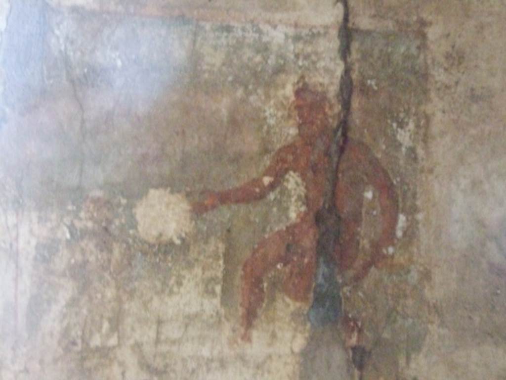 VI.10.1 Pompeii.  March 2009.  Rear room on south side.  South wall.  Wall painting of Polyphemus watching Galatea on a dolphin.