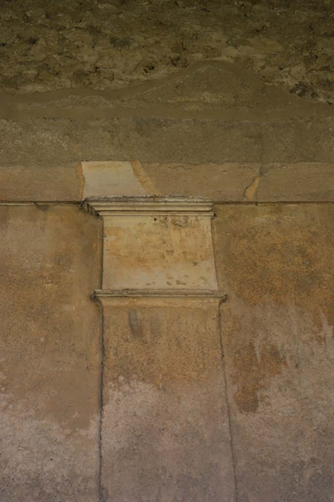 VI.11.10 Pompeii. October 2017. Peristyle 36, detail from west wall of portico.
Foto Annette Haug, ERC Grant 681269 DÉCOR


