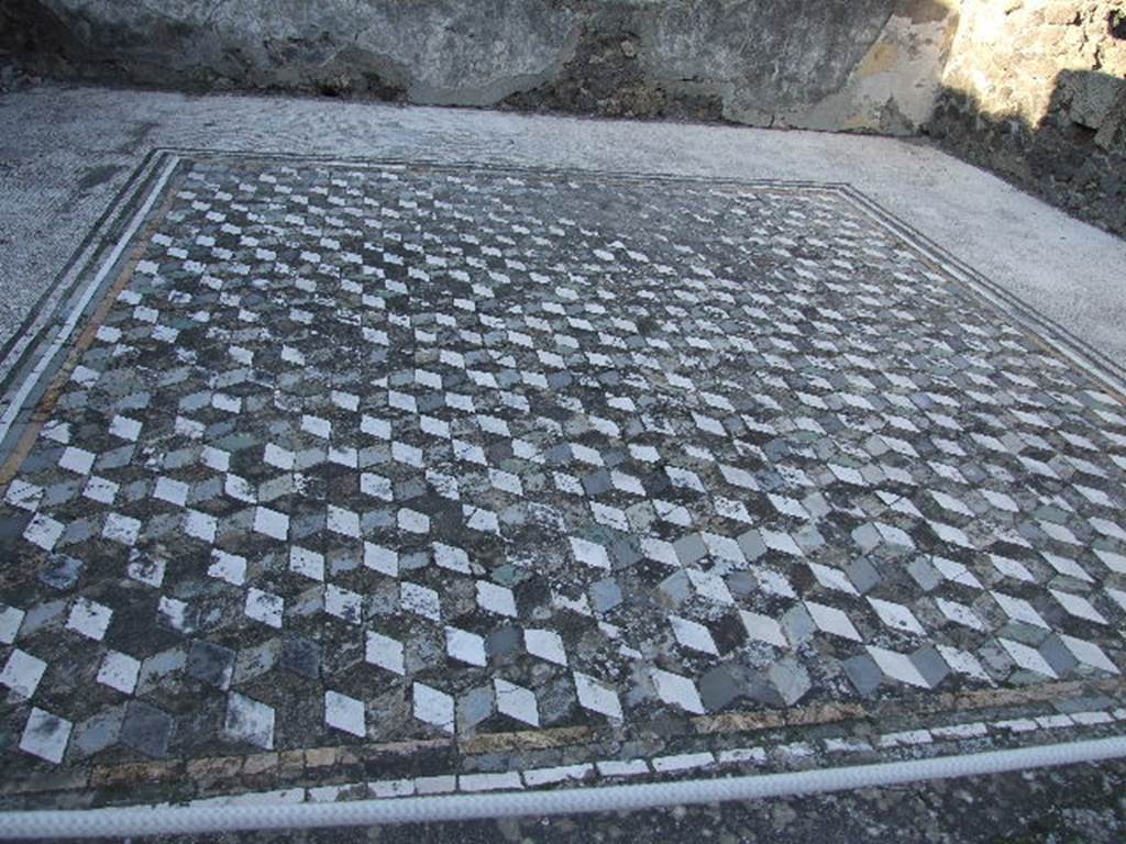 VI.12.2 Pompeii. December 2006. Tablinum. White geometric pattern floor with centre paved with pieces of black, white and green stone.