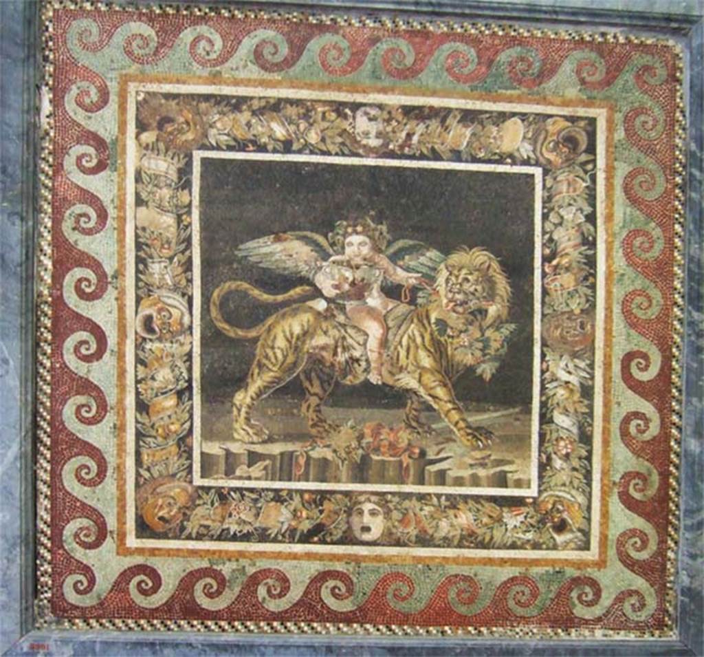 VI.12.2 Pompeii. May 2006. Found in one of the two dining rooms at the side of the tablinum. 
Mosaic of the child Dionysus astride an animal with the head of a lion and the body of a tiger.
Mau described it as a floor mosaic of the Genius of the autumn, represented as a vine crowned boy sitting on a panther and drinking out of a deep golden bowl. 
See Mau, A., 1907, translated by Kelsey F. W. Pompeii: Its Life and Art. New York: Macmillan. (p.292-3)
Now in Naples Archaeological Museum. Inventory number 9991.
Found 1st December 1830, see PAH II, 242.
Kuivalainen comments: The potential Bacchus-emblema, a tiger-rider (MANN 9991), is more likely a Genius or a Cupid.
See Kuivalainen, I., 2021. The Portrayal of Pompeian Bacchus. Commentationes Humanarum Litterarum 140. Helsinki: Finnish Society of Sciences and Letters, p. 75 note 352.
