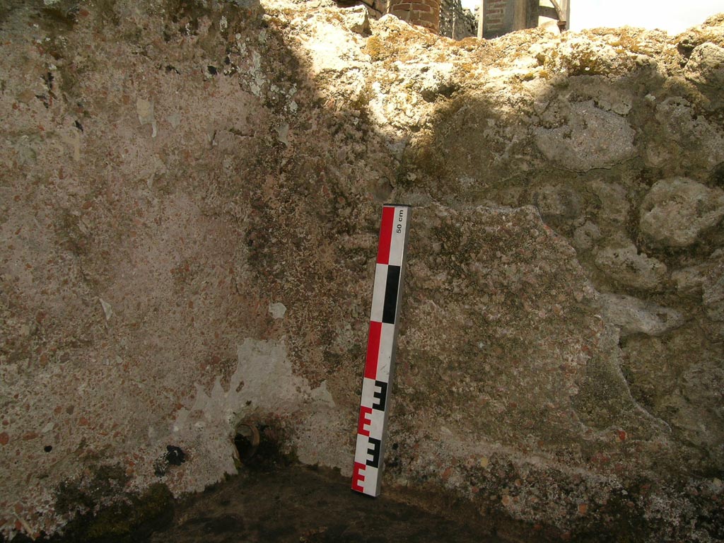 VI.14.22 Pompeii. June 2006. Room 12, detail from west rinsing basin. Photo courtesy of Nicolas Monteix.