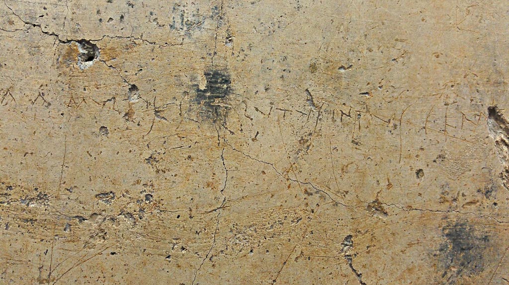 VI.14.43 Pompeii. Detail of graffiti from wall next to main entrance. 
Now in Naples Archaeological Museum, inv. 4685. Photo courtesy of Giuseppe Ciaramella.
