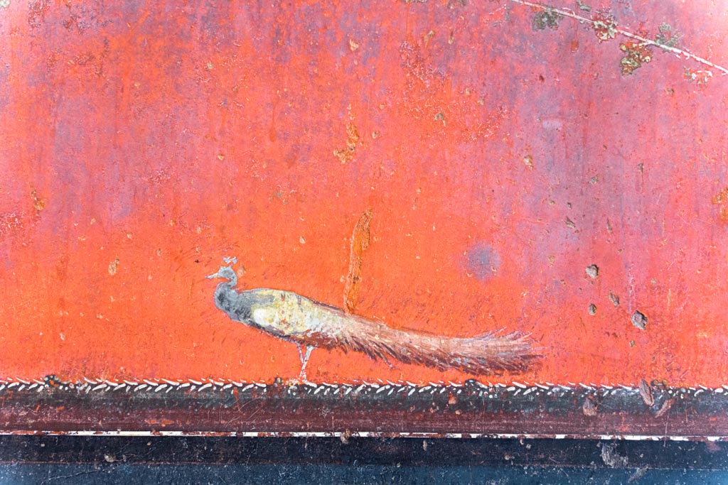 VI.15.1 Pompeii. August 2023. Detail of peacock painted above predella on lower east wall at south end. Photo courtesy of Johannes Eber.

