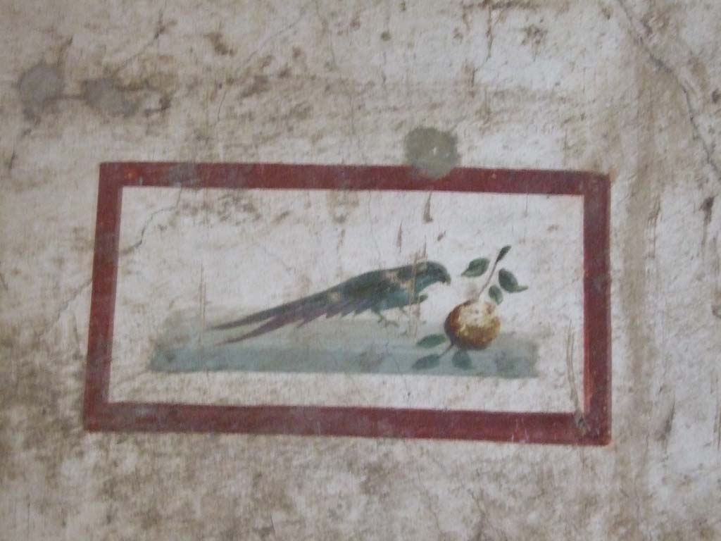 VI.15.1 Pompeii. December 2006. Detail of bird painting from east end of south wall, in bedroom leading from atrium.
(PPM – room k)
