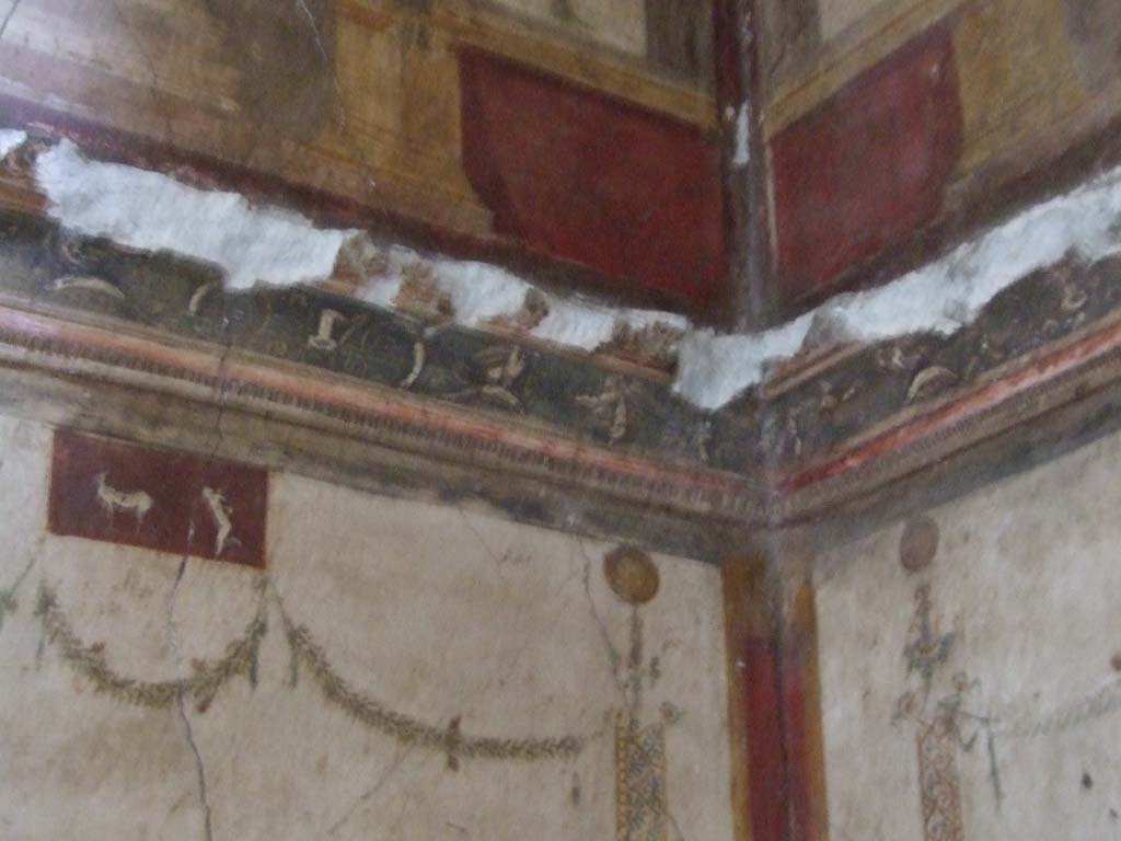 VI.15.1 Pompeii. December 2006. Detail of plaster from upper north-east corner in oecus on south side of atrium.