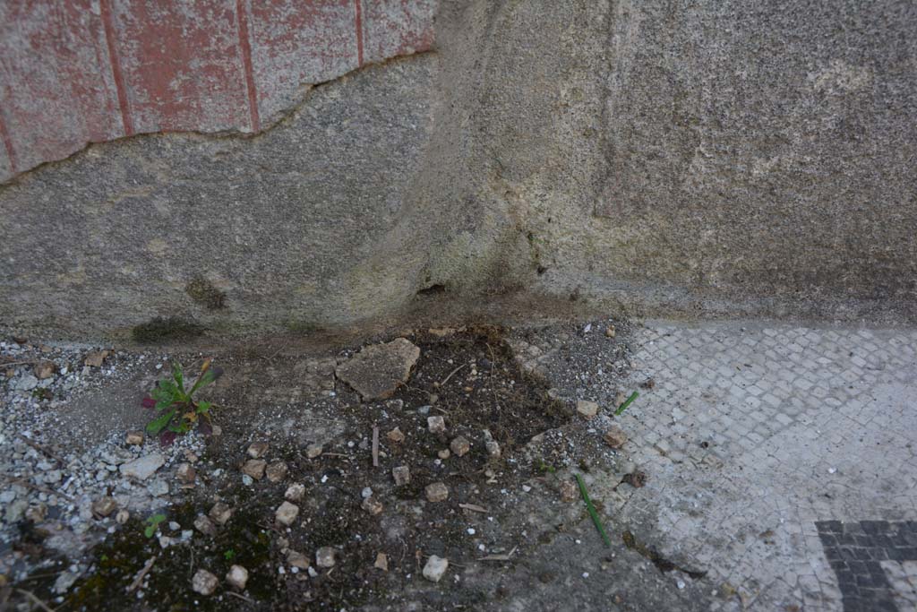 VI 15 5 Pompeii. March 2019. Tablinum 7, detail from lower south wall at east end.
Foto Annette Haug, ERC Grant 681269 DCOR.
