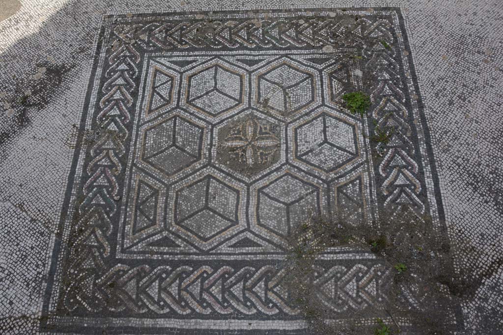 VI 15 5 Pompeii. March 2019. Tablinum 7, emblema in centre of floor.
Foto Annette Haug, ERC Grant 681269 DCOR.
