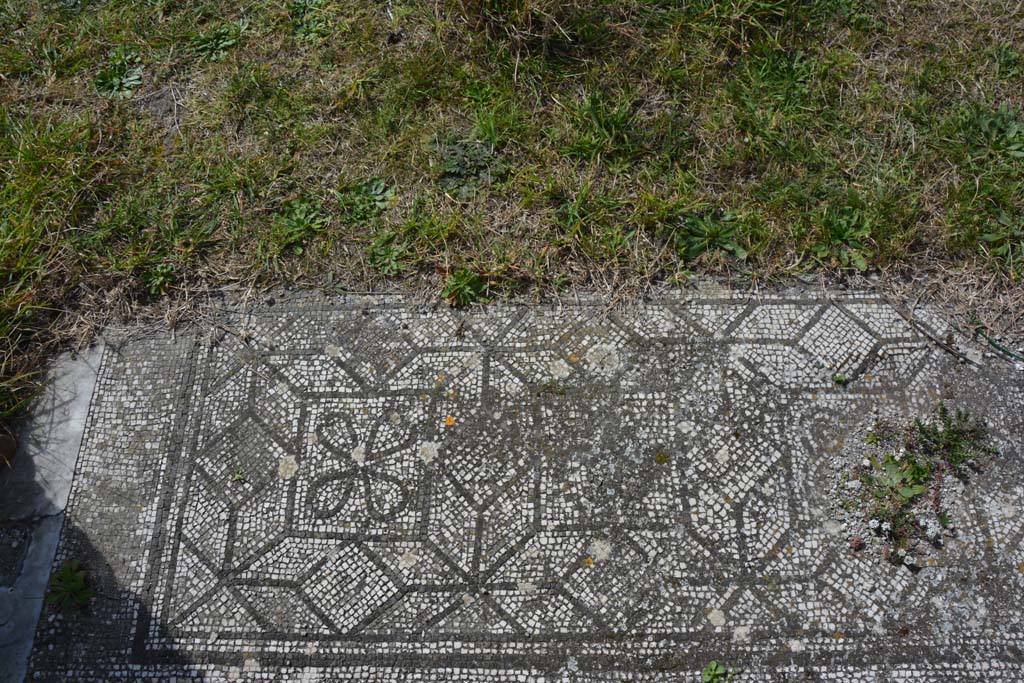 VI 15 5 Pompeii. March 2019. Tablinum 7, mosaic at south end of west side of tablinum.
Foto Annette Haug, ERC Grant 681269 DCOR.


