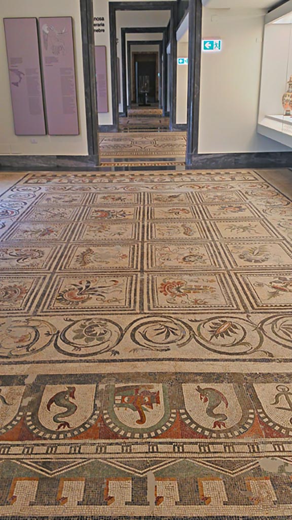 VI 17.10 Pompeii ?. July 2019. 
Looking across centre of mosaic floor, on display in Naples Archaeological Museum.  
Photo courtesy of Giuseppe Ciaramella 
