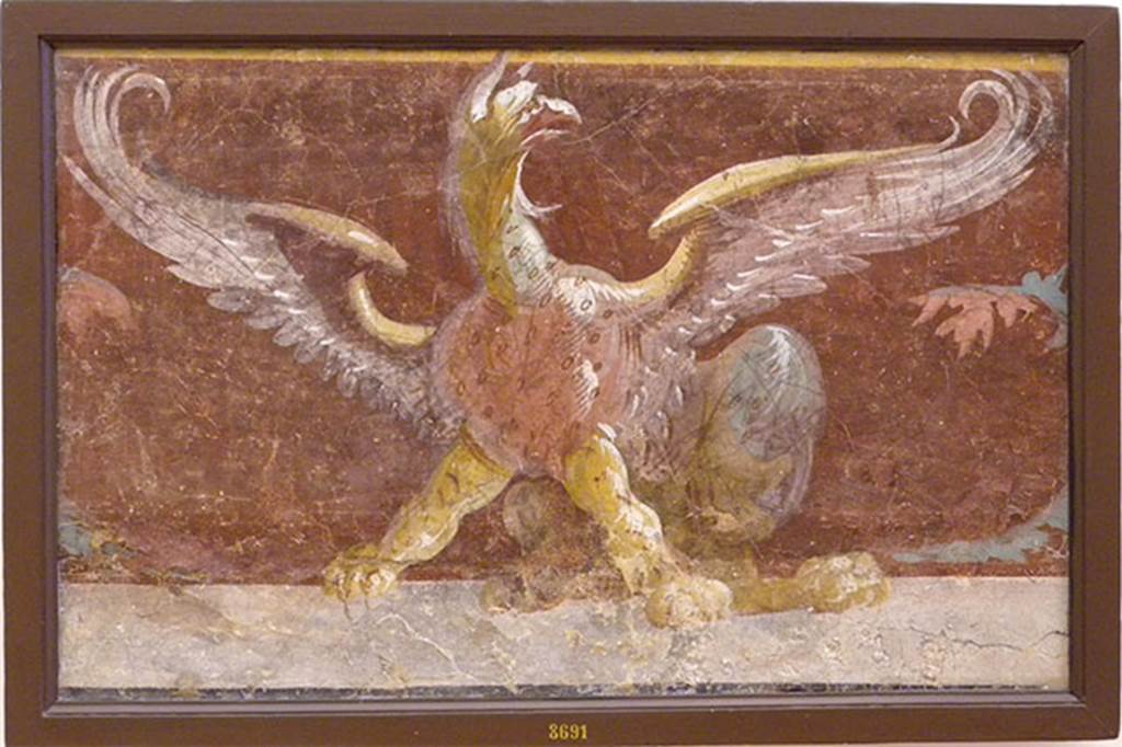 VI.17.9-10 Pompeii. Found 18 November 1763. Griffin.
Now in Naples Archaeological Museum. Inventory number 8691.
According to Allroggen-Bedel, this was found in La Vega’s room 9
Room 9 (as described by La Vega), the zoccolo was clear yellow, with panels of purple. 
The main part of the wall had a purple background which had yellow bands, and a frieze with yellow background with the tan-coloured panels. 
The decoration above was on a white background with various ornamentations. 
In the same room on 18th November, a winged Griffin and a winged Sphynx were cut, both had a purple background.

