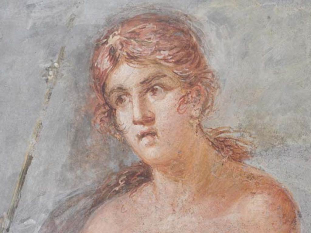 VI.17.42, Pompeii, May 2018. Triclinium 20, detail of Ariadne, from central painting on north wall. 
Photo courtesy of Buzz Ferebee.
