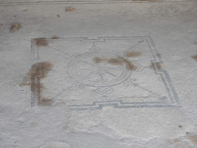 VII.7.2 Pompeii, May 2018. Central emblema in mosaic floor in room at east end of south portico.
Photo courtesy of Buzz Ferebee.
