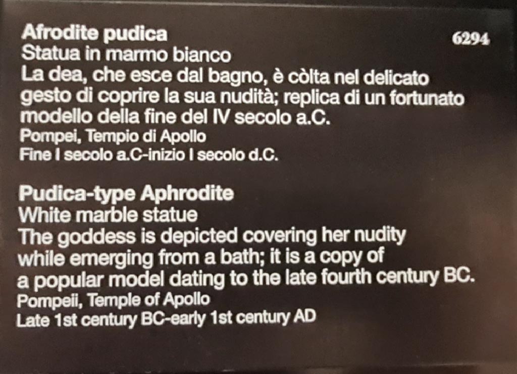VII.7.32 Pompeii. April 2023. Museum information card for Aphrodite statue inv. 6294. Photo courtesy of Giuseppe Ciaramella.