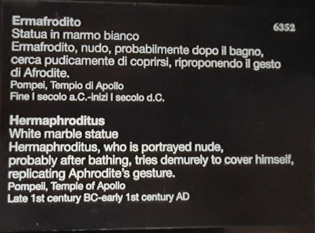 VII.7.32 Pompeii. April 2023. Museum information card for Hermaphroditus statue inv. 6352. Photo courtesy of Giuseppe Ciaramella.